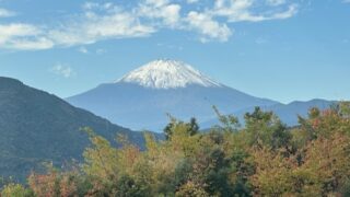 山藤　（山取) 撮影日★2025、04、06日1～5 ★04月,10日そ 山藤 （山取) 撮影日☆2025、04、06日1～5 ☆04月,10